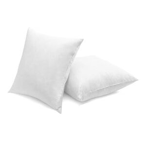White 95% Goose Feather 5% Down SOFT Pillow Inserts SQUARE 22x22” (2-Pack)